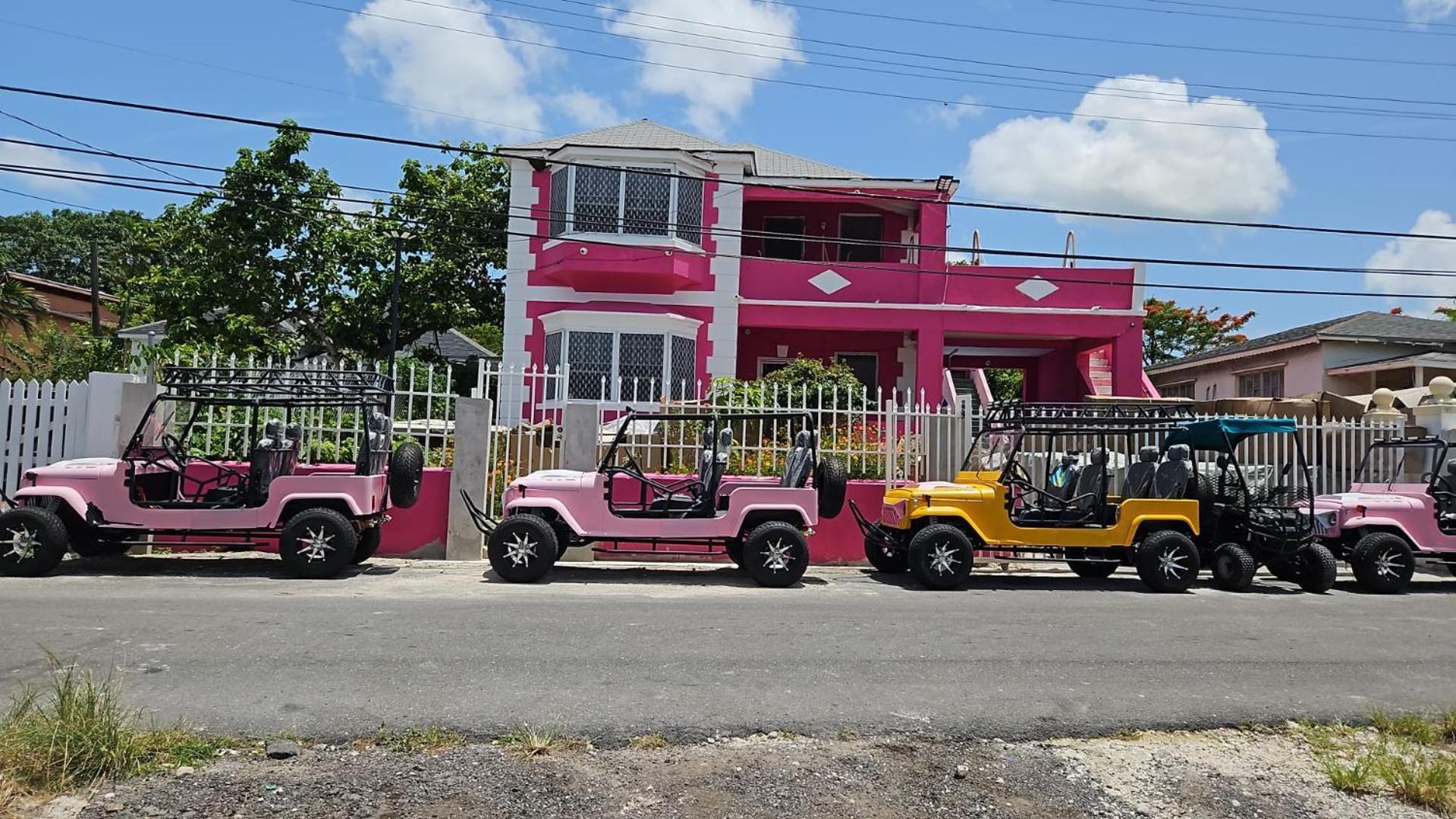 Da Pink And White Palace Nassau Exterior foto