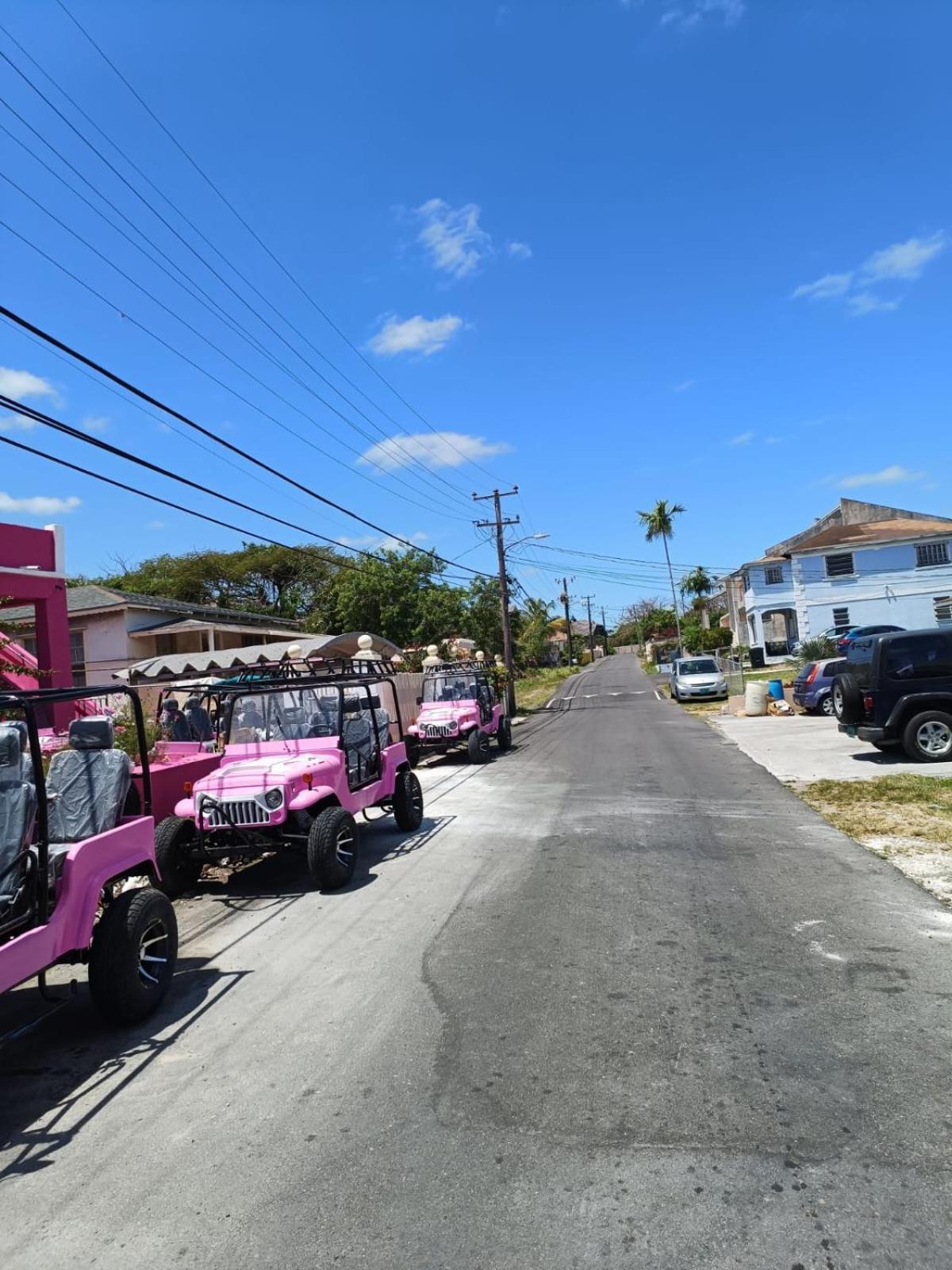 Da Pink And White Palace Nassau Exterior foto