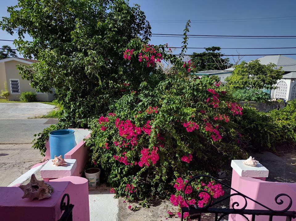 Da Pink And White Palace Nassau Exterior foto
